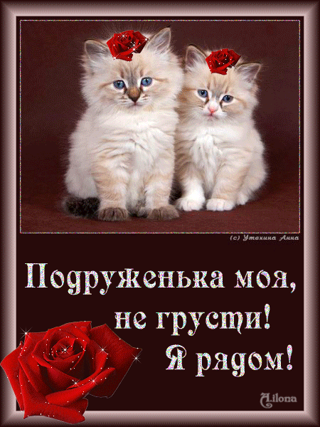 Открытка Открытки я рядом - Открытка с котятами и красными розами | Красивая открытка #10