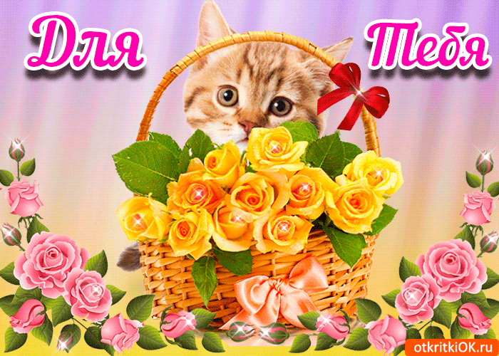 Открытка С кошками - Открытка с котенком и цветами | Красивая открытка #59