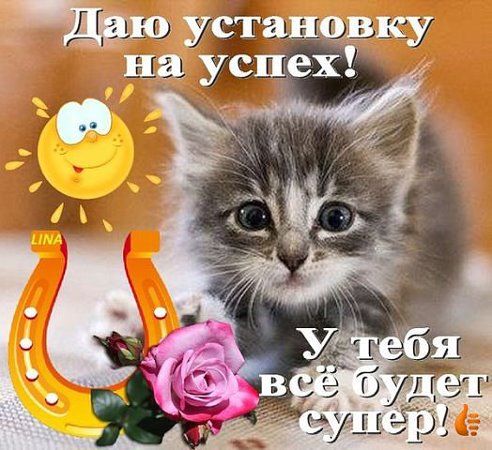 Открытка открытки с пожеланиями удачного дня  - Открытка с котенком, подковы и цветами | Красивая открытка #13