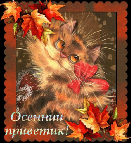 Открытка Осенний приветик - Открытка с котенком на осенний день | Красивая открытка #15