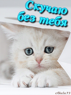 Открытка Скучаю - Милый котенок за бумагой: Открытка с котенком | Красивая открытка #176