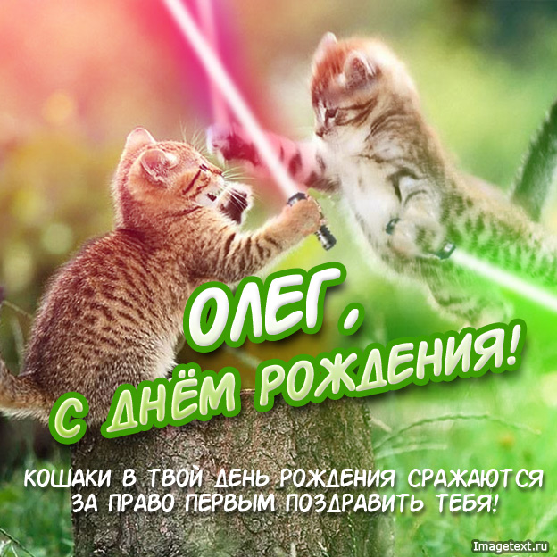 Открытка Открытки с именем Олег  - Открытка с котятами: С Днём Рождения! | Красивая открытка #35