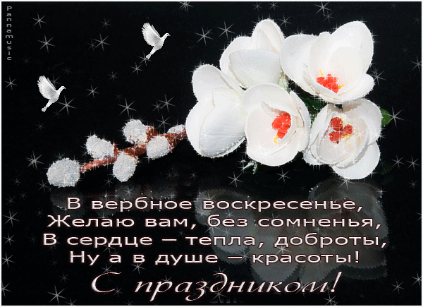Открытка С вербным воскресеньем - Весенние цветы и птицы: открытка с добрыми пожеланиями | Красивая открытка #226