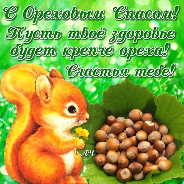 Открытка Ореховый спас - Белка с орехами на природе: открытка с изображением | Красивая открытка #21