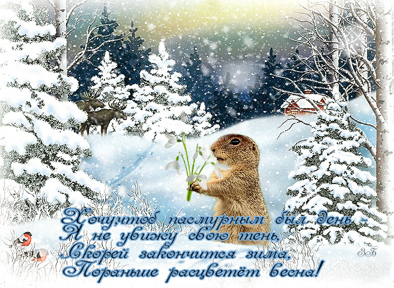 Открытка Открытки с днем сурка - Сурок с весной: открытка снегом и лесом | Красивая открытка #12