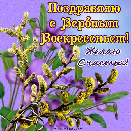 Открытка открытки с вербным воскресеньем  - Открытка с вербой: нежные весенние поздравления | Красивая открытка #13