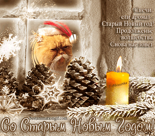 Открытка Старый Новый год - С Новым годом! Рыжий кот, свечи и ель | Красивая открытка #78
