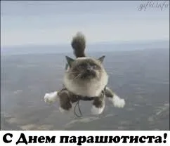 Открытка Открытки с днем парашютиста - Котик-парашютист: Открытка с поздравлением! | Красивая открытка #4