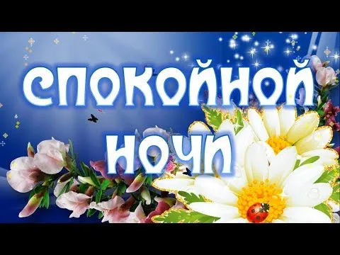 Открытка Доброй ночи - Открытка: Цветы, ромашки, бабочки, божья коровка | Красивая открытка #64