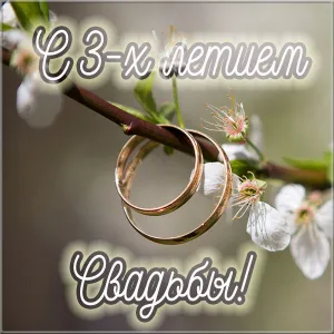 Открытка Открытки на Кожаную свадьбу 3 года - Обручальные кольца на цветущей ветке | Красивая открытка #99