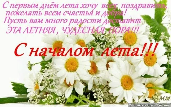 Открытка Первый день лета - Полевые цветы: открытка с ромашками | Красивая открытка #138