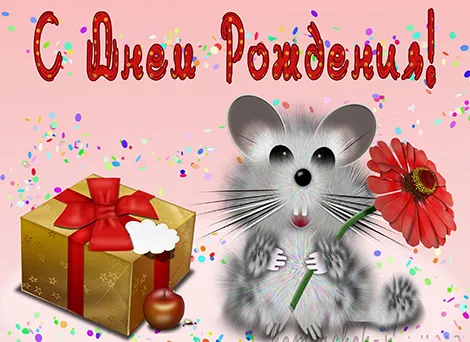 Открытка с днем рождения - Открытка: Милый шиншилла с цветком и подарком | Красивая открытка #115