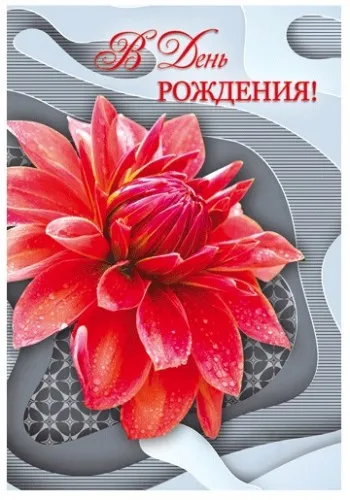 Открытка С георгинами - Красный лотос на сером фоне: открытка с днем рождения | Красивая открытка #31