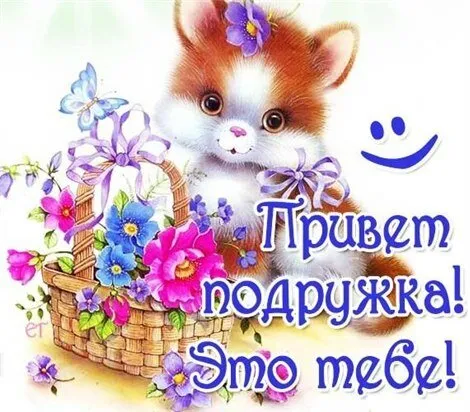 Открытка С приветствием - Открытка с котенком и цветами | Красивая открытка #35
