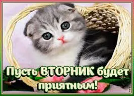 Открытка Открытки на вторник - Милый котёнок в корзинке: открытка с котенком | Красивая открытка #185