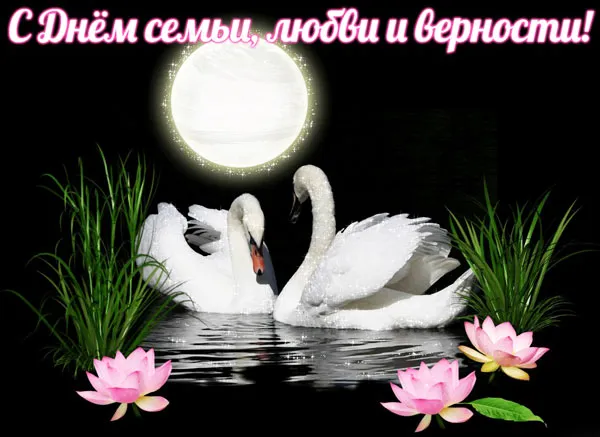 Открытка С лебедями - Открытка с лебедями и лотосами | Красивая открытка #51