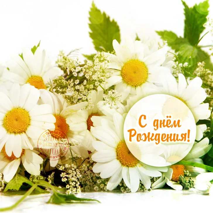 Открытка С ромашками - Открытка с ромашками: С Днём Рождения! | Красивая открытка #62