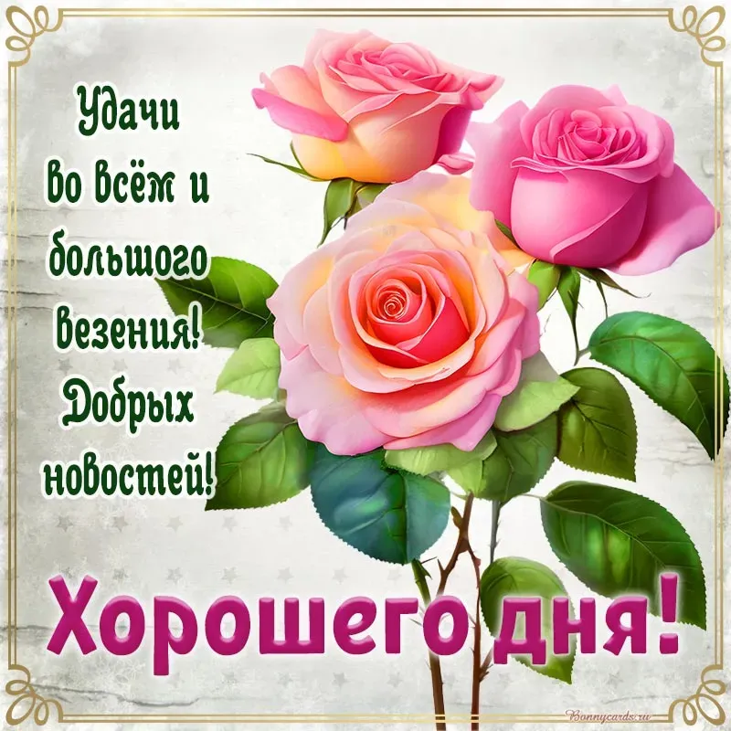 Открытка хорошего дня! - Открытка с розами: С Днем Рождения! | Красивая открытка #5
