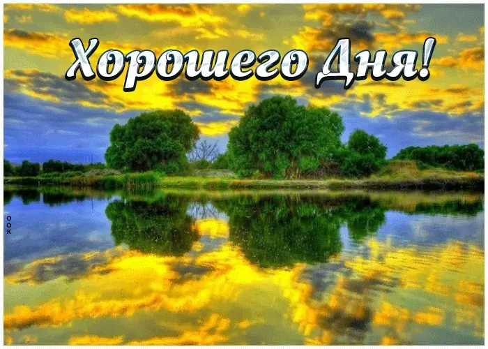 Открытка хорошего дня! - Озеро на закате: пейзаж с отражением деревьев | Красивая открытка #6