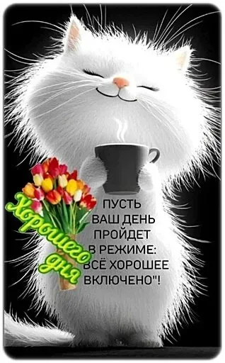 Открытка хорошего дня! - Кошка с цветами и кофе: открытка с днем рождения | Красивая открытка #16