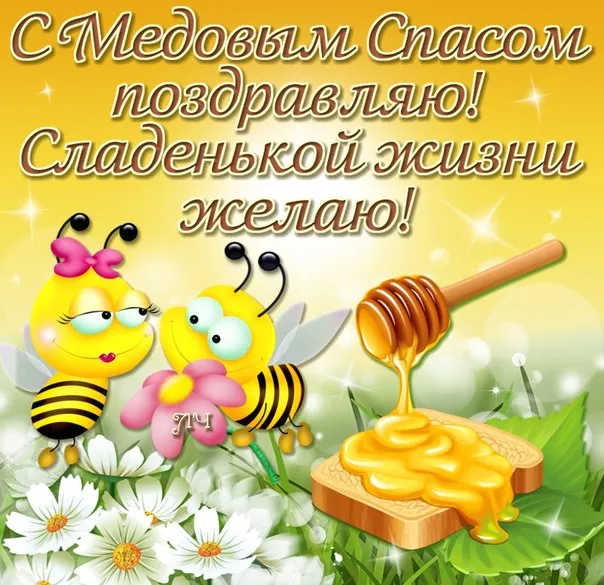 Открытка Медовый спас - Пчелка с медом и цветами: открытка для тебя | Красивая открытка #311