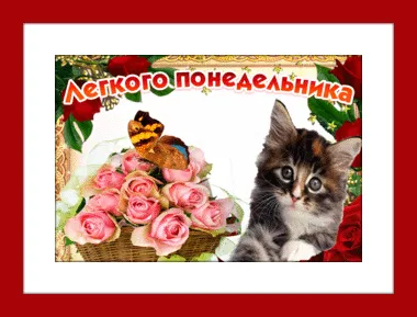 Открытка Удачного понедельника - Открытка с котенком и розами | Красивая открытка #75