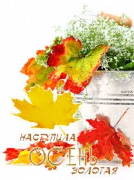 Открытка Открытки Золотая Осень  - Золотая осень: открытка с яркими листьями | Красивая открытка #91