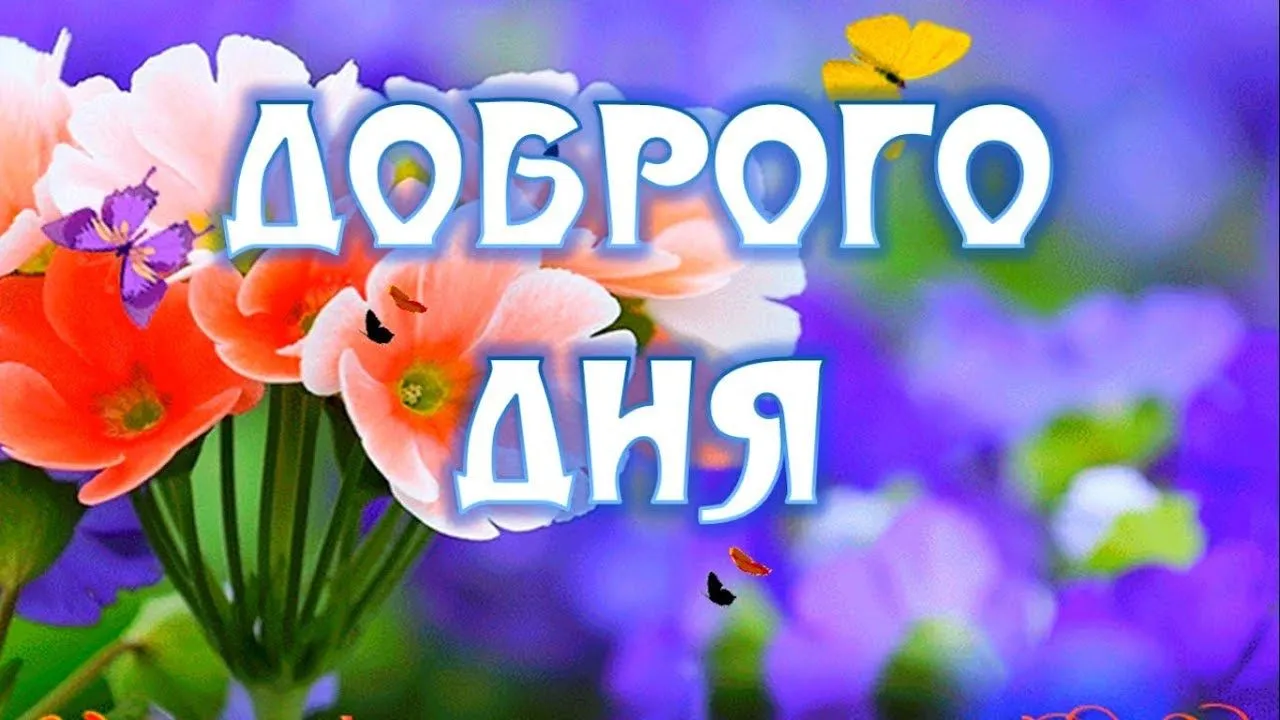 Открытка добрый день - Открытка: Красные маки, бабочки, надпись "Доброе утро" | Красивая открытка #59
