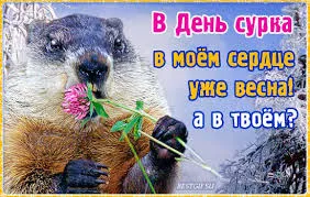 Открытка День сурка - Сурок с цветком: открытка с Днём весны | Красивая открытка #12