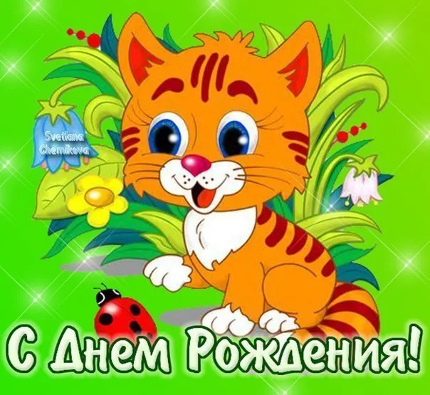 Открытка С днем рождения внук - Открытка с днём рождения: милый котёнок в цветах | Красивая открытка #21
