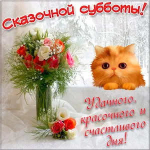 Открытка Доброе утро суббота - Открытка: Цветы, котенок, снег | Красивая открытка #1