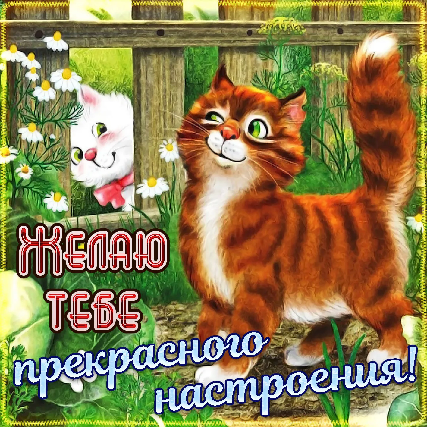 Открытка хорошего настроения - Два кота на природе. Открытка с кошками. | Красивая открытка #38