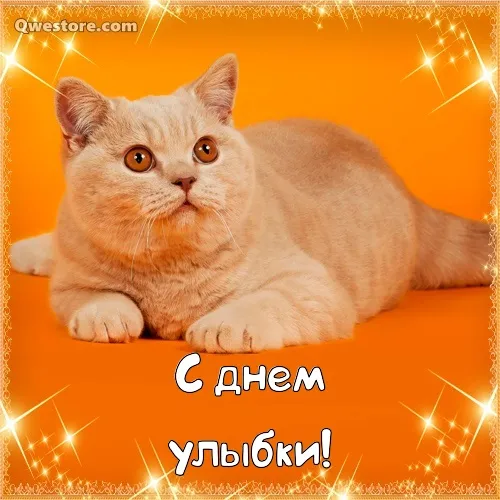 Открытка С днём улыбки - С Днём Улыбки! Открытка с рыжим котом | Красивая открытка #16
