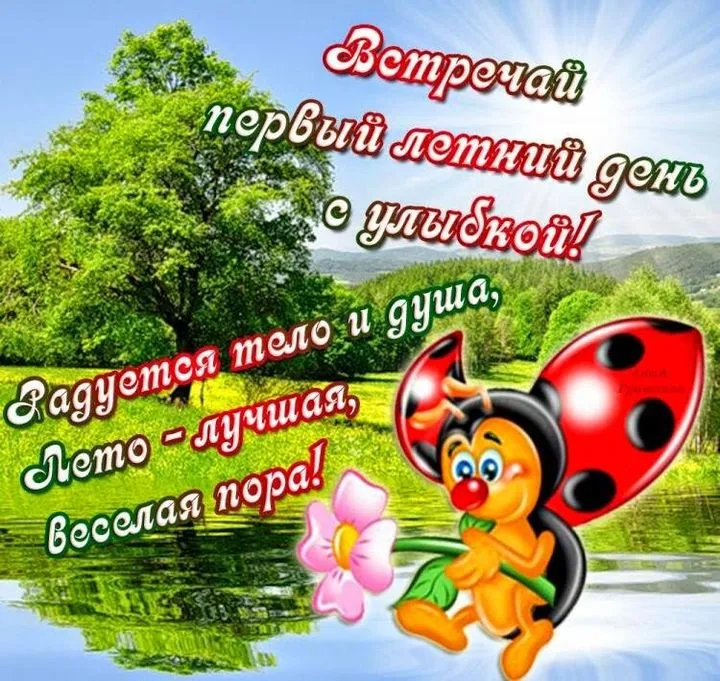 Открытка С первым днём лета - Яркая божья коровка и лето | Красивая открытка #61