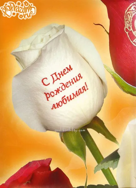 Открытка Для любимой - Открытка с цветами: С днем рождения! | Красивая открытка #42