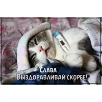 Открытка открытки с именем Вячеслав - Котенок с градусником: Открытка с милым питомцем | Красивая открытка #129