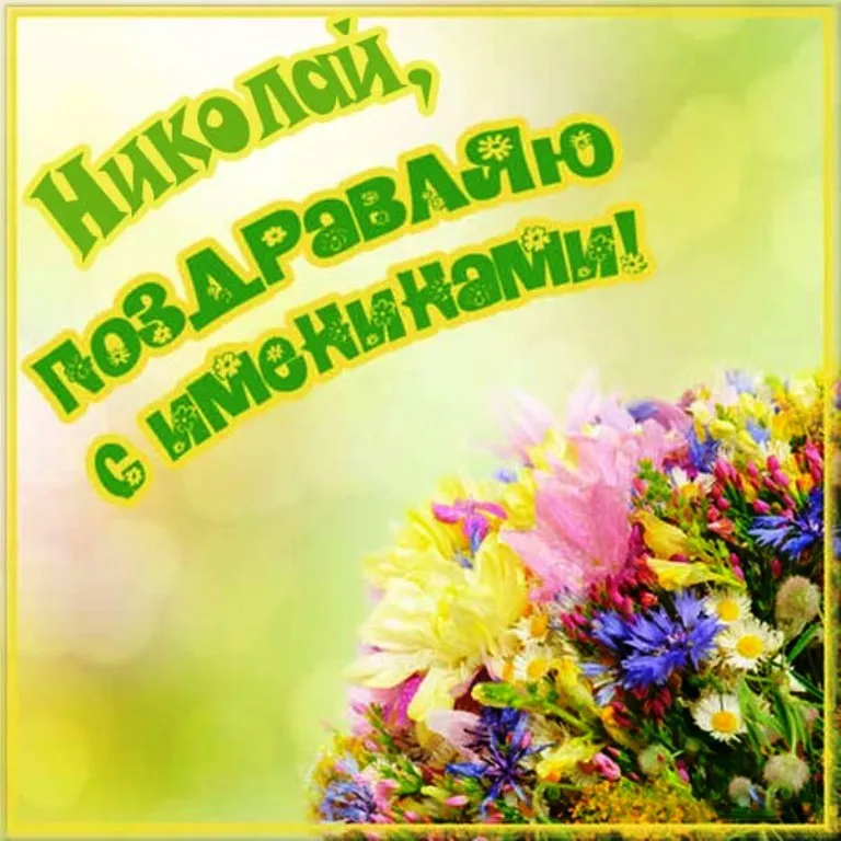 Открытка Открытки с именем Николай   - Открытка с цветами: яркие цветы на зеленом фоне | Красивая открытка #67