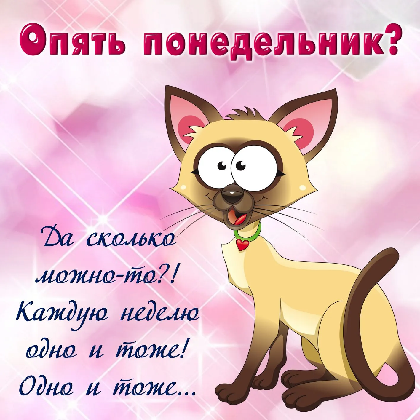 Открытка Удачного понедельника - Открытка с забавным котиком | Красивая открытка #44