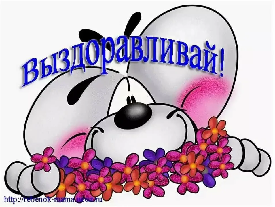 Открытка Выздоравливай - С Днем! Изображение милой белочки с цветами. | Красивая открытка #38
