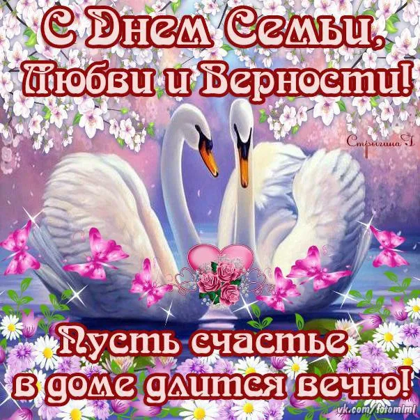 Открытка День семьи - Открытка с лебедями: любовь и верность | Красивая открытка #141