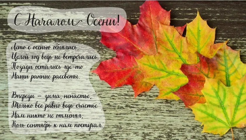 Открытка С началом осени - Осенняя открытка: Красный клён на фоне листвы | Красивая открытка #7