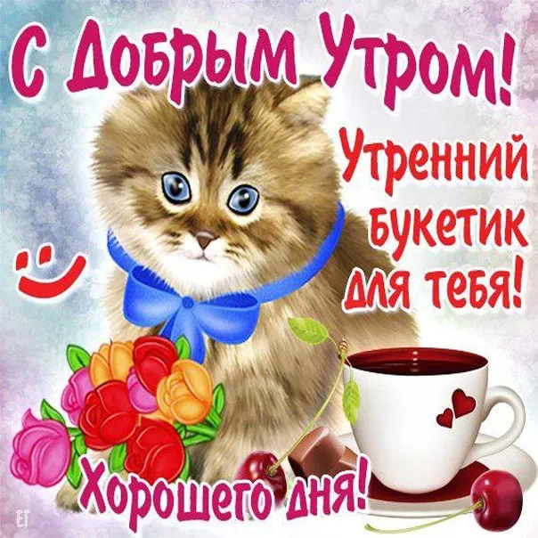 Открытка С добрым утром - Открытка с котенком: Доброе утро! | Красивая открытка #42