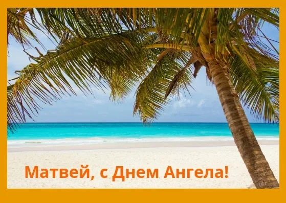 Открытка открытки с именем Матвей  - Открытка с днем ангела: пальма и море | Красивая открытка #191