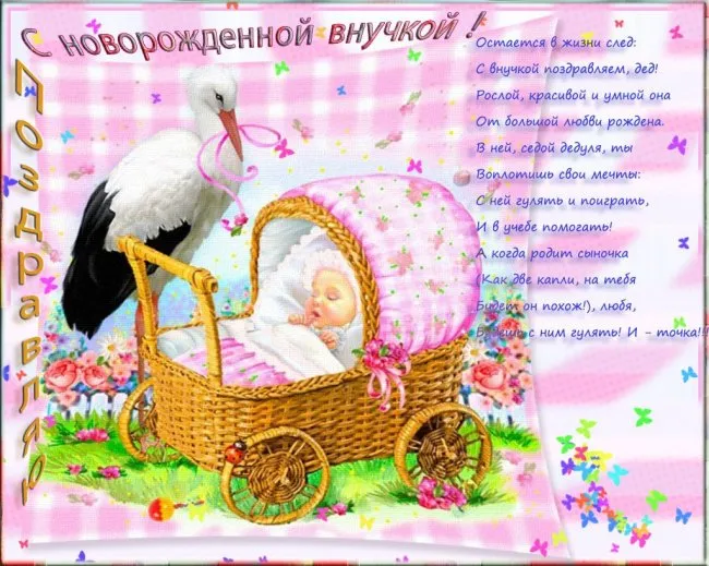 Открытка С Днем рождения внучки - Открытка: Поздравления с рождением девочки. Птицы и цветы. | Красивая открытка #43