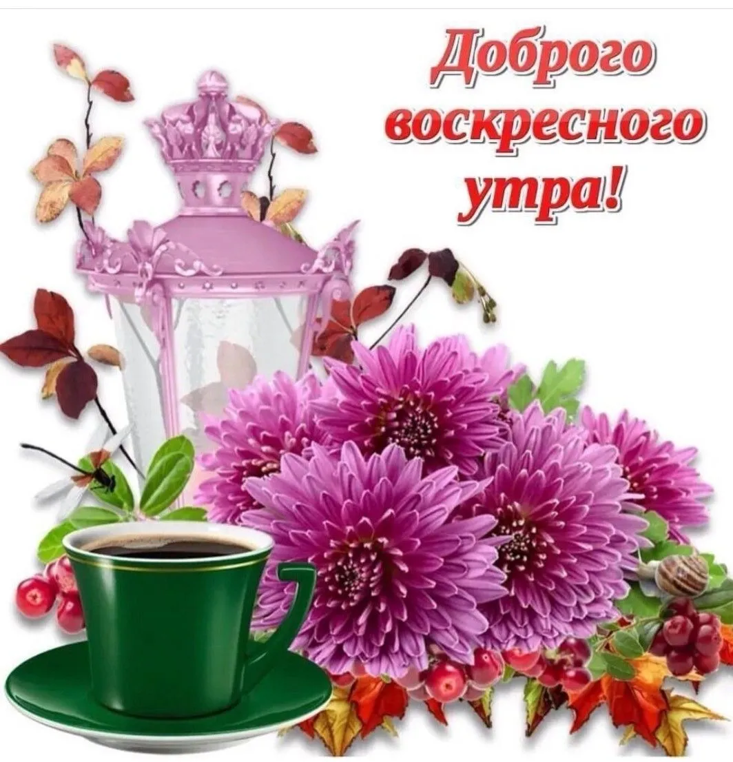 Открытка Доброе утро воскресенье - Чайная роза: нежная открытка с цветами и чашкой | Красивая открытка #12