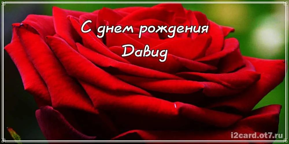 Открытка открытки с именем Давид - Красная роза: открытка с днем рождения | Красивая открытка #175