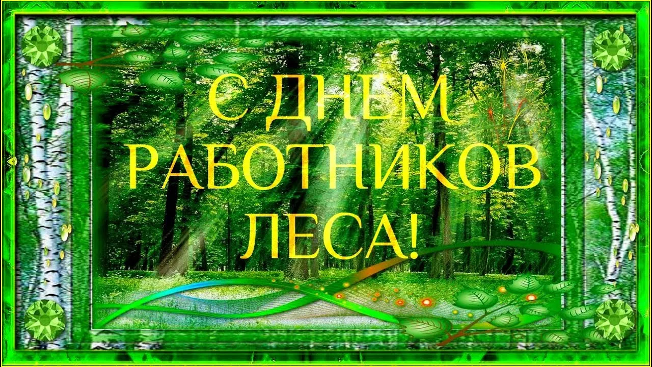 Открытка С днём работника леса - Открытка «С Днем Леса!»: Зеленые деревья и солнце | Красивая открытка #15