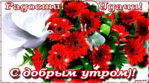 Открытка Открытки желаю удачи - Открытка с красными гвоздиками и голубем | Красивая открытка #162