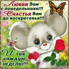 Открытка Открытки на понедельник - Открытка с милым котенком и цветами | Красивая открытка #158