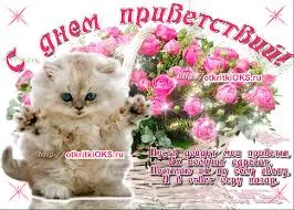 Открытка Открытки на Всемирный день приветствий - Открытка с котенком и розами  поздравительная картинка | Красивая открытка #19